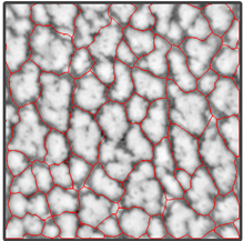 Watershed cells